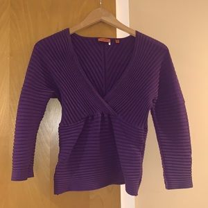 Deep Purple V-Neck Sweater. Condition: Like New.